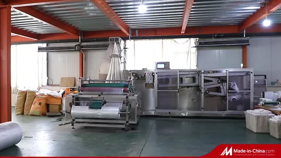 透明な使い捨てプラスチック浴槽 SPA カバー ライナー